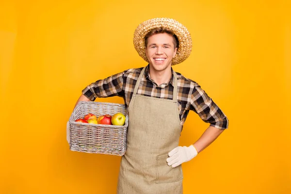 시즌 비타민 greengrocery 농업 경제 학자 짚 농촌 소박한 계획 — 스톡 사진