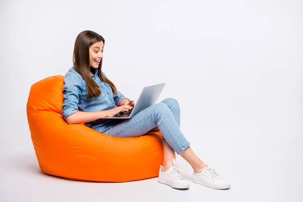 Profile side view of her she nice attractive lovely charming cheerful cheery girl sitting in bag chair using laptop isolated over light white color background — 스톡 사진