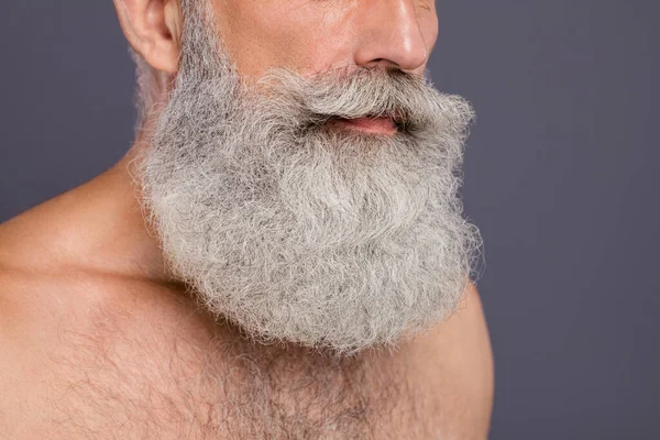 Profilé rapproché photo recadrée de bel homme âgé après coupe de cheveux spectacle métrosexuel moustache longue parfaite sur fond gris isolé torse nu — Photo