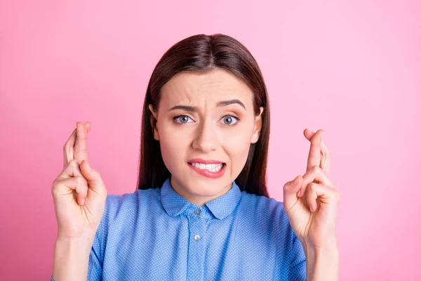 Foto van mooie dame met gekruiste vingers bijtende lippen bezorgd over eindexamen resultaten dragen blauw gestippelde shirt met kraag geïsoleerde roze kleur achtergrond — Stockfoto