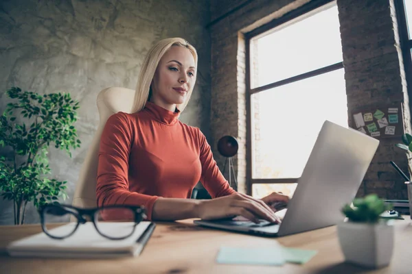 Låg nedanför vinkel visa foto av kvalificerade affärskvinna som arbetar på hennes projekt genom att använda laptop sitter vid skrivbordet — Stockfoto