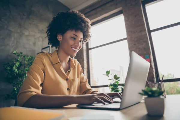 Photo of cheerful positive business lady smiling toothily looking into screen of notebook computer comparing corporate income for previous year with current one — Stock Photo, Image