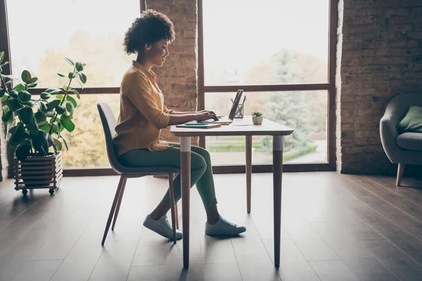 Perfil lado preencher corpo foto de confiante menina afro-americana inteligente sentar trabalho de mesa no tipo de computador projeto de inicialização desfrutar de seminário estação de trabalho no sótão do escritório — Fotografia de Stock