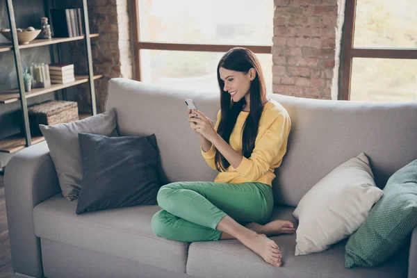 Profile side view photo of cheerful positive girl sit divan use her smartphone read social network news wear casual style clothing in room indoors