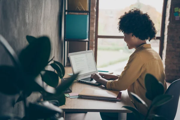 Profil Seite Rückseite Rückenansicht Foto von cool smart afroamerikanische Mädchen Promoter sitzen Tisch verwenden Laptop-Arbeit mit Fonds Charts Suche Start-up-News in Büro-Loft-Workstation — Stockfoto