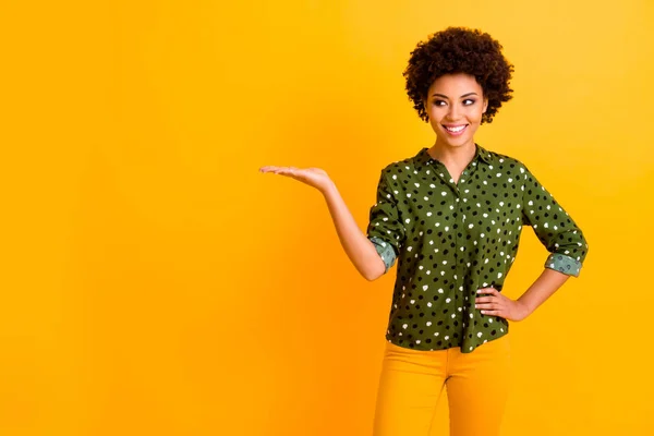 Retrato de positivo alegre afro americano menina promotor segurar mão demonstrar anúncio promoção escolha conselho desgaste elegante roupa isolada sobre cor brilhante fundo — Fotografia de Stock