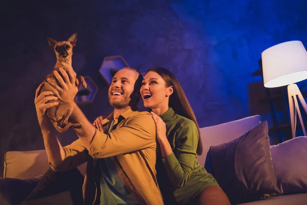 Porträtt av hans han henne hon trevlig attraktiv glad glad glad glad glada makar sitter på divan leka med leksak terrier ha kul semester weekend semester på natten hus vardagsrum lägenhet — Stockfoto