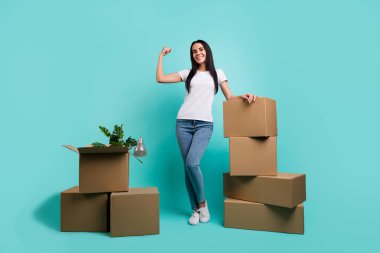 Full length body size view of nice attractive cheerful girl showing muscles packing things buyings pile stack of boxes isolated on bright vivid shine vibrant teal green blue turquoise color background clipart