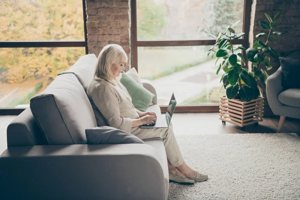Profile side view of nice attractive peaceful focused grey-haired lady sitting on divan writing email browsing information online doctor consultation industrial brick loft modern style interior house — Zdjęcie stockowe
