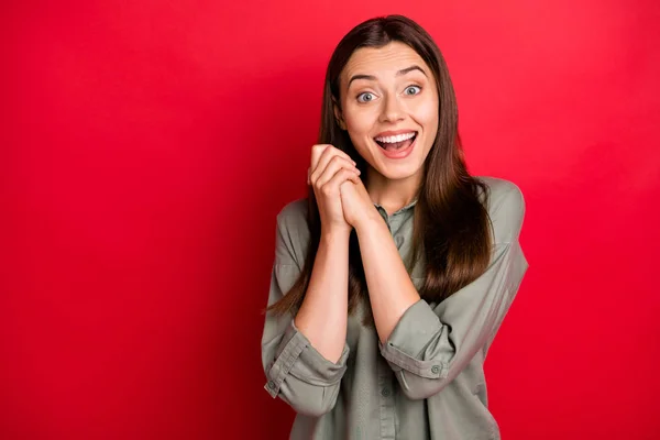 Foto av attraktiv rolig dam glad humör hålla händerna tillsammans överlycklig goda nyheter tillgiven bära casual grå skjorta isolerad röd färg bakgrund — Stockfoto