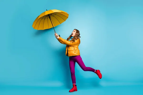 Full size profiel foto van mooie reiziger dame houden heldere paraplu vliegen met wind waait slijtage gele overjas sjaal violet broek rood schoeisel geïsoleerde blauwe kleur achtergrond — Stockfoto