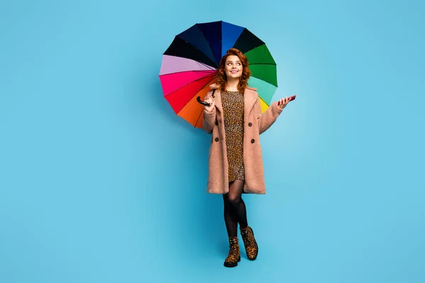 Η μετρολογία λέει βροχερό καιρό. Πλήρες μέγεθος φωτογραφία θετική γυναίκα κατέχουν ανοικτή ομπρέλα χρήση κινητό τηλέφωνο ματιά copyspace φορούν παπούτσια Vogue βαμβακερό καλσόν καλσόν απομονωμένο μπλε χρώμα φόντο — Φωτογραφία Αρχείου
