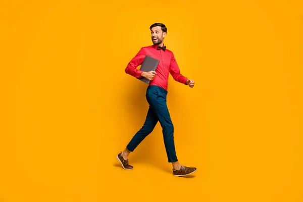 Full length profil fotografie úžasné obchodní muž chůze firemní setkání školení nést notebook oblečení stylové červené košile luk kravata modré kalhoty boty izolované žlutá barva pozadí — Stock fotografie