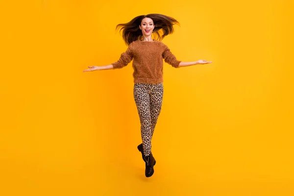 Full body foto di incredibile funky signora saltando su alta tendenza giovanile sguardo gettando riccioli di acconciatura aria usura soffice maglione leopardo pantaloni scarpe isolato colore giallo sfondo — Foto Stock