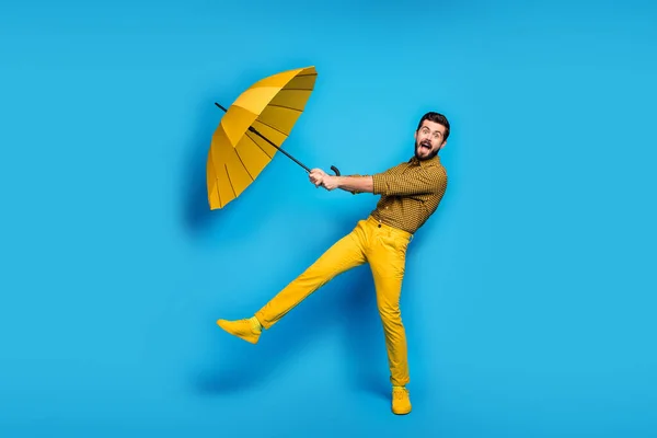 Omg parasol flying. Full size photo of crazy astonished man catch his rain wind protect shield umbrella scream wear plaid pants sneakers isolated over blue shine color background — 스톡 사진