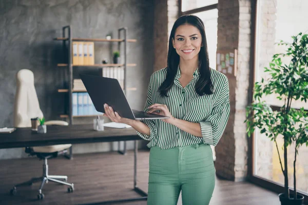 Foto de atraente latino negócios senhora segurar notebook bate-papo colegas ler relatório atender parceiros pessoa amigável usar camisa listrada calças verdes stand escritório interior moderno dentro de casa — Fotografia de Stock