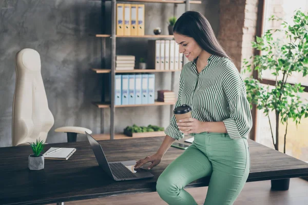 Porträtt av henne hon trevlig attraktiv glad skicklig dam expert haj ekonomi konsult med bärbar dator sitter på bordet på moderna industriella tegel loft interiör stil arbetsplats station inomhus — Stockfoto