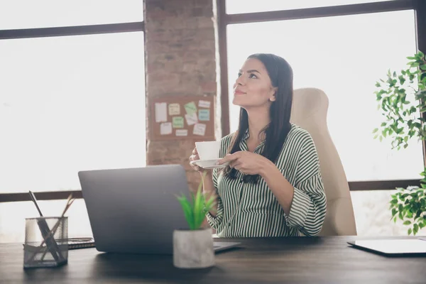 Portrait of her she nice attractive confident cheerful creative dreamy lady successful expert researcher IT recruiter drinking coffee at modern industrial brick loft interior style work place station — 스톡 사진