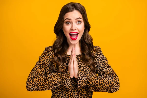 Close-up portrait of her she nice-looking attractive lovely pretty cheerful cheery wavy-haired girl fan asking favor isolated on bright vivid shine vibrant yellow color background — Zdjęcie stockowe