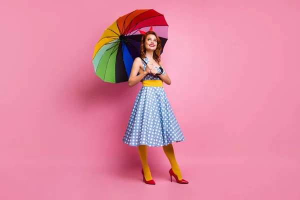 Полное фото тела позитивной мечтательной сладкой женщины держать яркий зонтик защитить себя от плохого прогноза метеорологии выглядеть носить синий горошек-точка платье желтые колготки изолированы розовый цвет фона — стоковое фото
