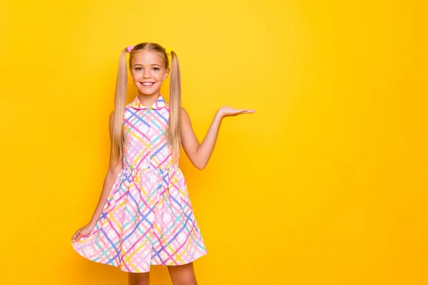 Photo of beautiful cheerful little lady hold open arm new promo product black friday advertisement wear checkered summer dress isolated yellow bright color background — Stockfoto
