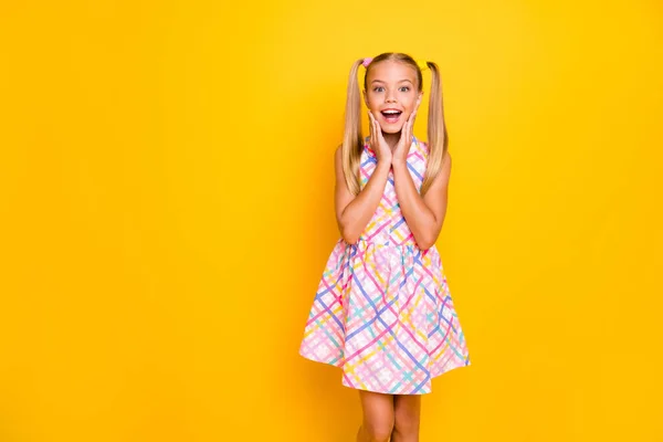 Photo of pretty funny excited little lady holding hands on cheeks unexpected surprise open mouth wear checkered plaid summer dress isolated yellow shine color background — ストック写真