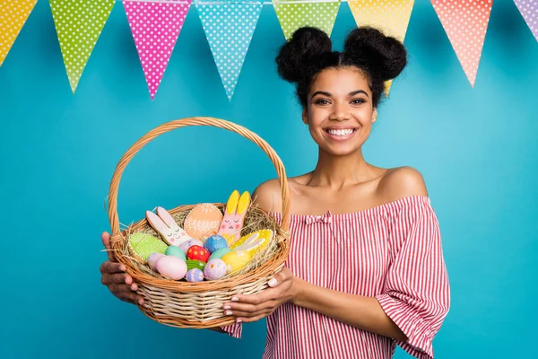 Photo of pretty dark skin lady hold holiday basket came family easter dinner eggs ginger bread bunny hang flags wear red white striped shirt naked shoulders isolated blue color background — Zdjęcie stockowe
