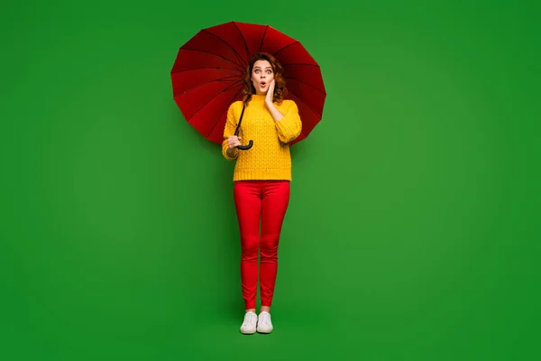 Volledige lengte foto van opgewonden dame houden grote heldere paraplu lopen regenachtige warme lente dag weer hand op wang dragen gele trui rode broek schoenen geïsoleerde groene kleur achtergrond — Stockfoto