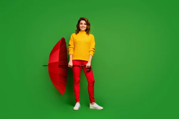 Полная длина фото довольно веселый леди держать большой яркий зонтик ходить дождливый теплый весенний день погода носить желтый свитер красный брюки обувь изолированный зеленый цвет фона — стоковое фото