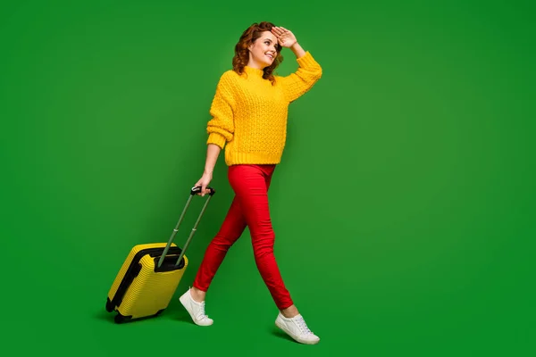 Foto de perfil de tamaño completo de la señora bonita rodando maleta ir registro mirar lejos mano ayudar a ocultar los ojos de la luz del sol desgaste suéter amarillo pantalones rojos zapatos aislados de color verde fondo —  Fotos de Stock
