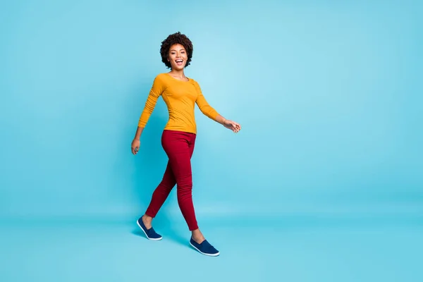 Повнорозмірне фото щирої гарненької афро-американської ходьби приносить насолоду у вихідні дні, одягаючи м'ясника, ізольованого на синьому фоні. — стокове фото