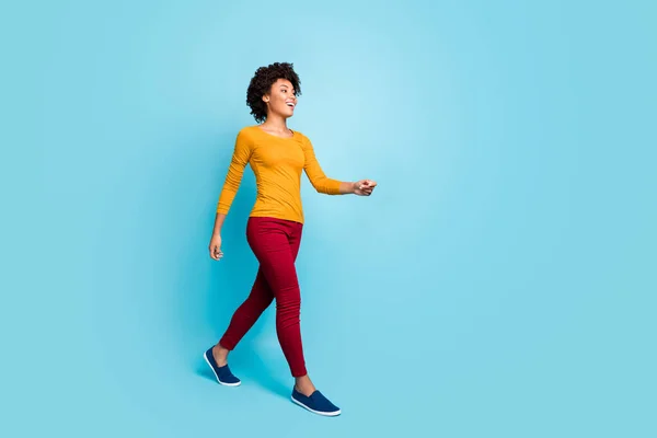 Teljes méretű fotó a pozitív vidám álmodozó afro amerikai lány megy sétálni élvezze a szabadidő nyaralás viselni jól néz ki jumper elszigetelt kék színű háttér — Stock Fotó