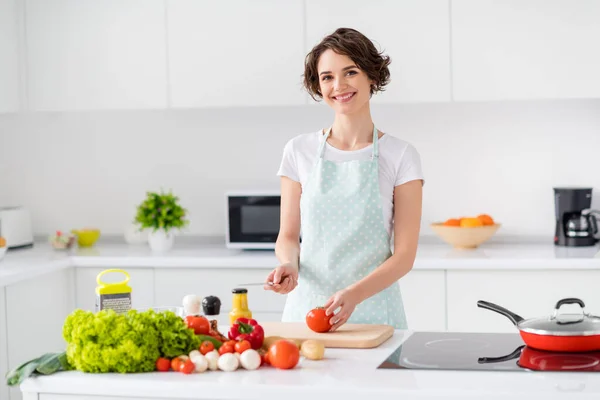 Foto van huisvrouw aantrekkelijk chef-kok dame armen houden tomaat mes genieten 's morgens koken lekker diner familie vergadering dragen schort t-shirt stand moderne keuken binnen — Stockfoto