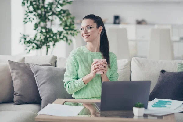 Portrait of her she nice attractive lovely winsome charming cheerful cheery dreamy brunet girl sitting on divan working remotely drinking hot cacao at light white interior room studio flat — Stock Photo, Image