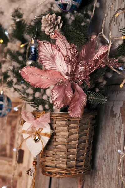 Noel çiçeği pembesi, karlı ladin dalı ve açık renk çelenk. Klasik arka plan üzerine Noel süslemeleri (bir çiçeğe odaklan)
