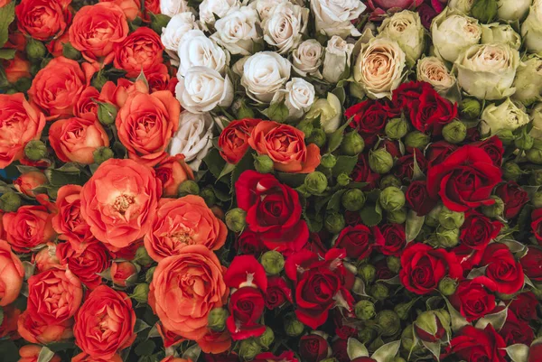Duża Ilość Różnych Rodzajów Róż Bukiecie Zbliżenie Tekstury Tła — Zdjęcie stockowe