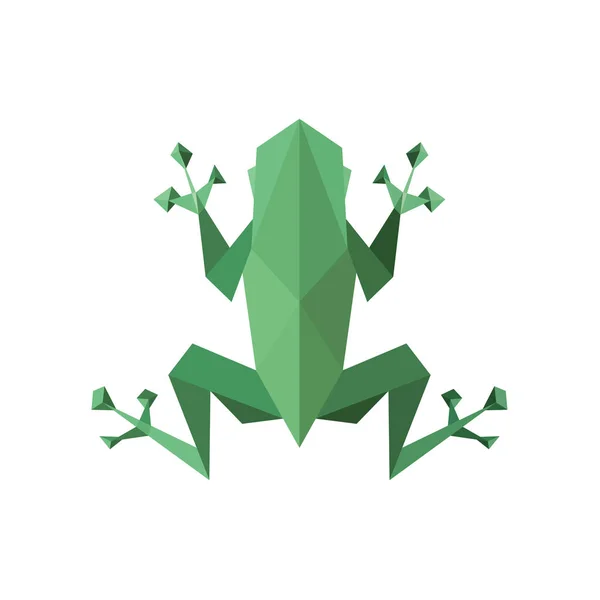 Illustration grenouille polygone, visages poly bas, vecteur d'angles vifs — Image vectorielle