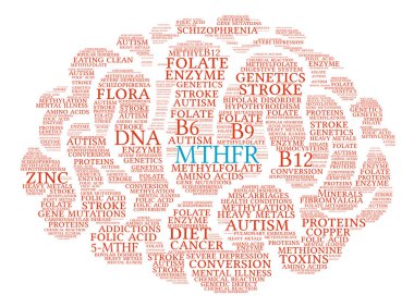 MTHFR beyin kelime bulutu