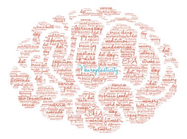 Neuroplasticity Brain Word Cloud clipart