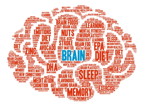 Gehirnwolke — Stockvektor