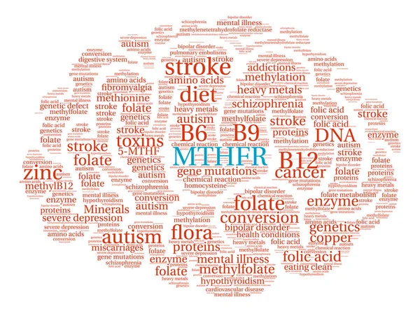 MTHFR Brain Word Cloud — Vector de stoc