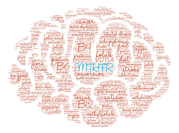 MTHFR Brain Word Cloud — Stock Vector