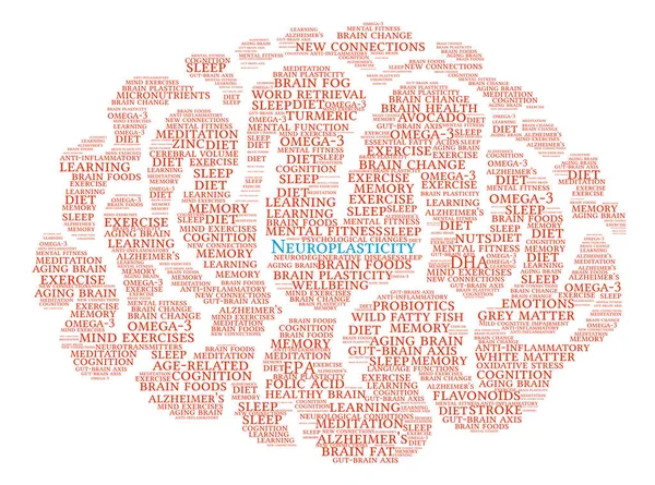 Neuroplasticité Nuage de mots cérébraux — Image vectorielle