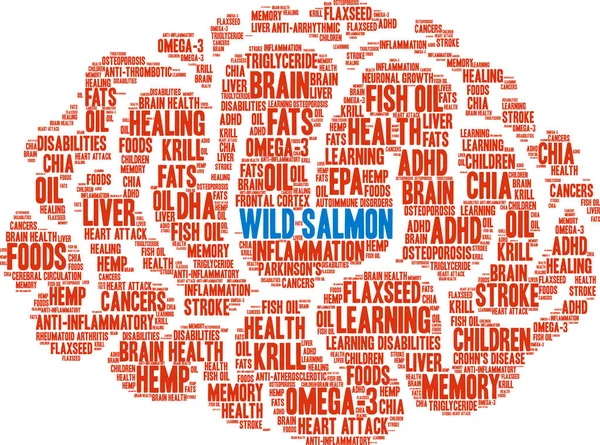 Wild Salmon Word Cloud — Stock Vector