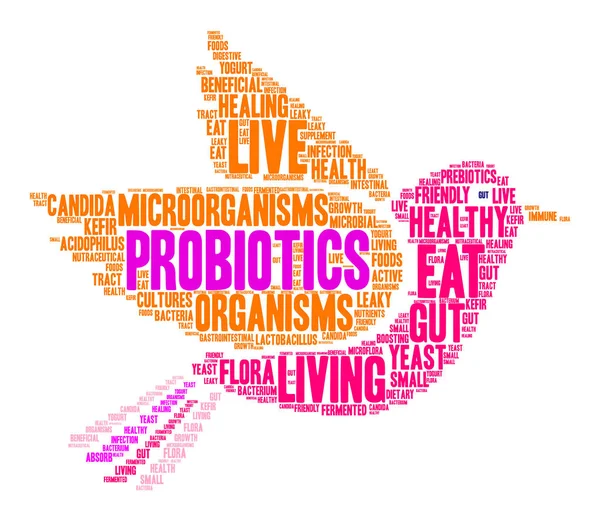 Probióticos Word Cloud —  Vetores de Stock