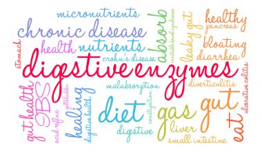 Digestive Enzymes Word Cloud clipart