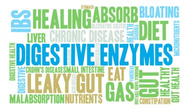 Digestive Enzymes Word Cloud clipart