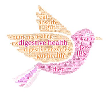 Digestive Health Word Cloud clipart