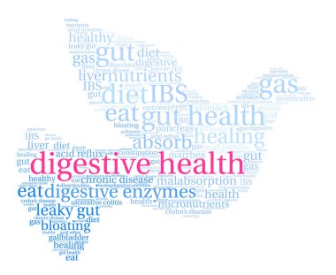 Sindirim sağlık kelime bulutu