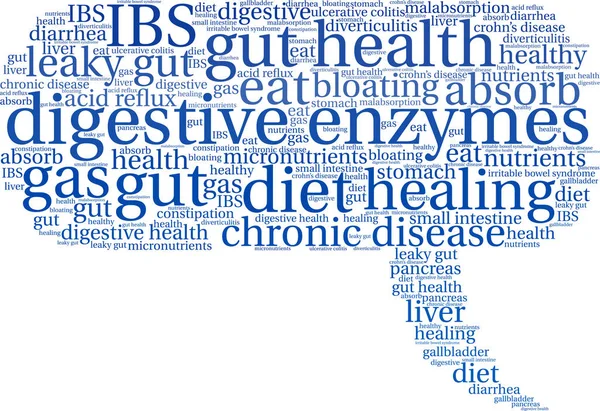 Enzymes digestives Word Cloud — Image vectorielle